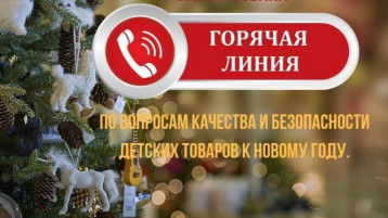 Всероссийская горячая линия по вопросам качества и безопасности детских товаров, выборе новогодних подарков. Всероссийская горячая линия по вопросам качества и безопасности детских товаров, выборе новогодних подарков.